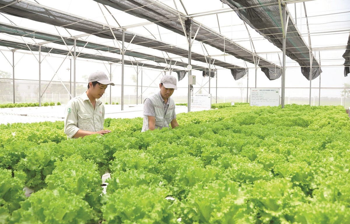Tìm lời giải cho phát triển kinh tế tuần hoàn trong nông nghiệp Việt Nam