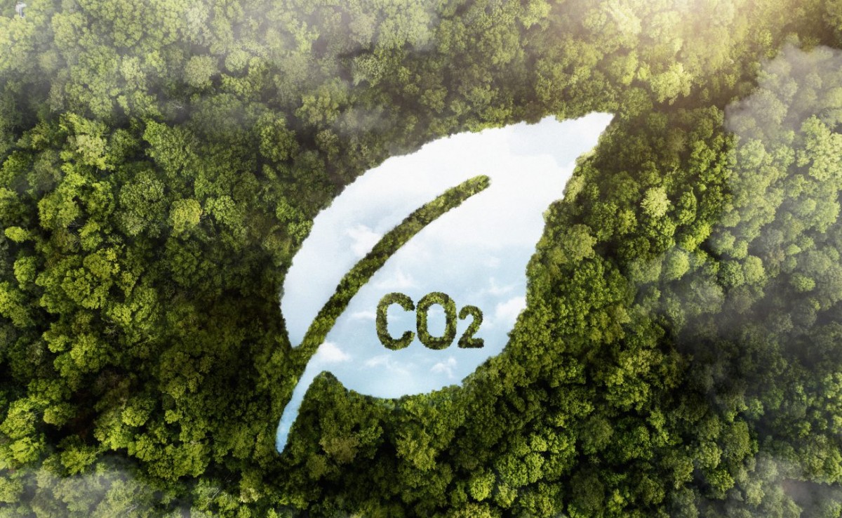 Hệ thống thủ tục mới góp phần hoàn thiện hành lang pháp lý cho thị trường carbon và hoạt động quản lý tín chỉ carbon tại Việt Nam. Ảnh minh họa.