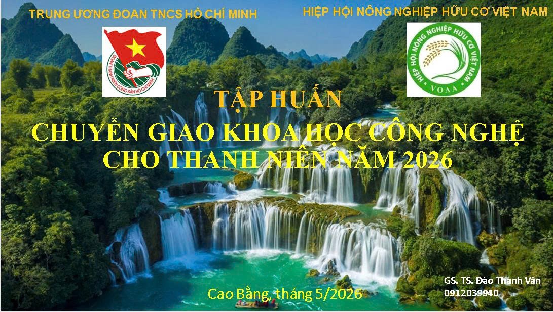 Nâng cao nhận thức về nông nghiệp hữu cơ cho đoàn viên thanh niên tại Cao Bằng