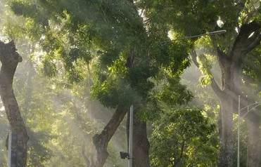 Chủ động phòng bệnh mùa nắng nóng