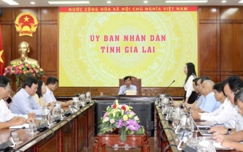 Quyết liệt xử lý vụ nghi ngờ ngộ độc thực phẩm tại Gia Lai