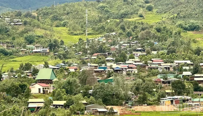 Xã Măng Ri phấn đấu trở thành thủ phủ sâm Ngọc Linh và dược liệu của tỉnh và cả nước.