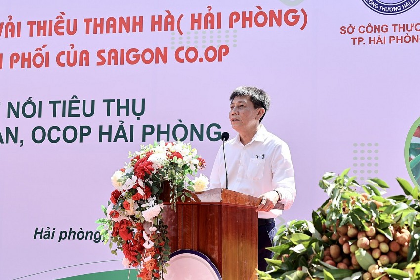 Hơn 300 tấn vải Thanh Hà chính thức 