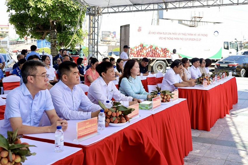 Hơn 300 tấn vải Thanh Hà chính thức 