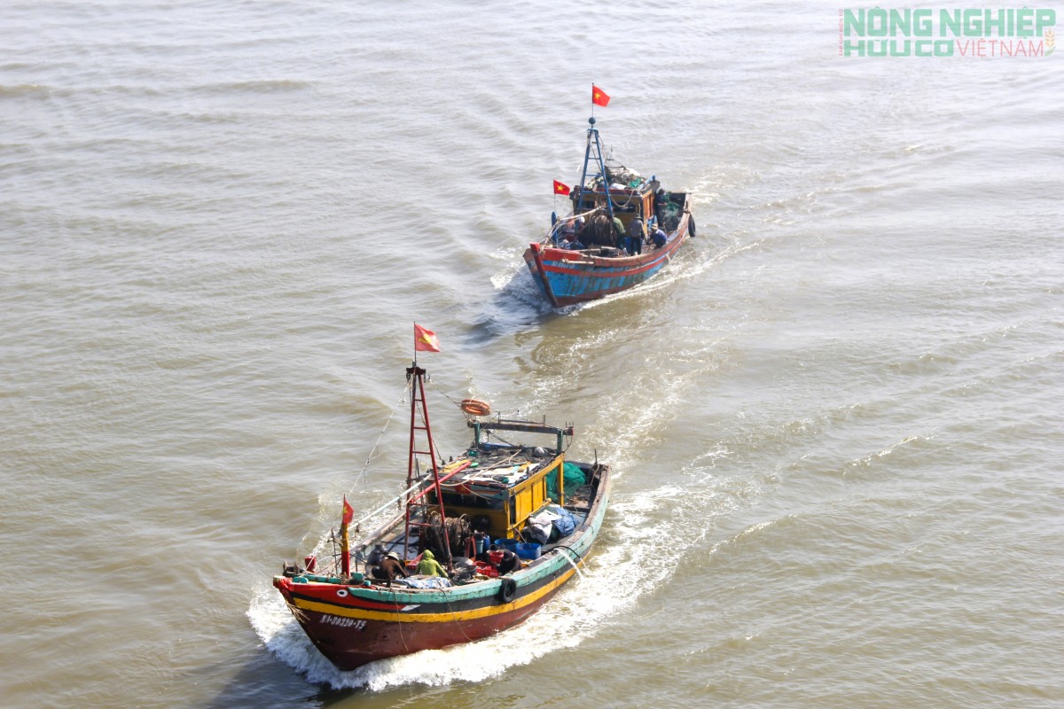 Bộ Nông nghiệp và Môi trường làm việc với UBND tỉnh Nghệ An về chống khai thác IUU