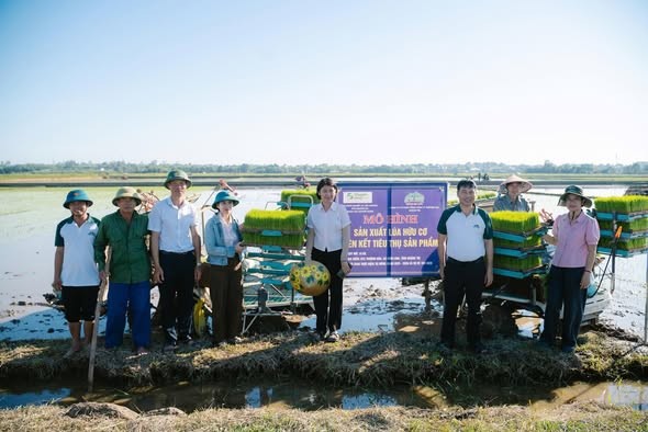 SEPON GROUP liên kết sản xuất lúa tại nhiều địa phương trong vụ Hè Thu 2026
