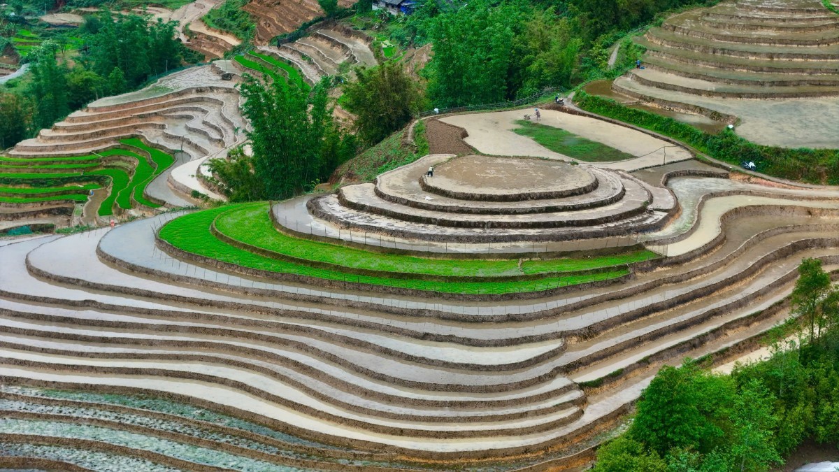 Ngắm vẻ đẹp bình yên của ruộng bậc thang Tả Van mùa nước đổ