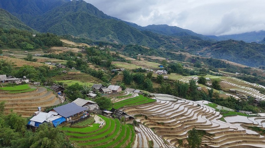 Ngắm vẻ đẹp bình yên của ruộng bậc thang Tả Van mùa nước đổ