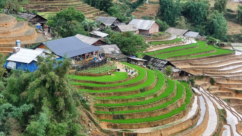 Ngắm vẻ đẹp bình yên của ruộng bậc thang Tả Van mùa nước đổ