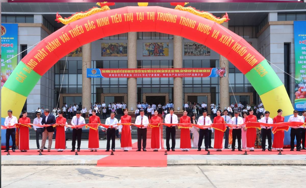 Bắc Ninh đẩy mạnh xúc tiến tiêu thụ vải thiều và nông sản chủ lực năm 2026