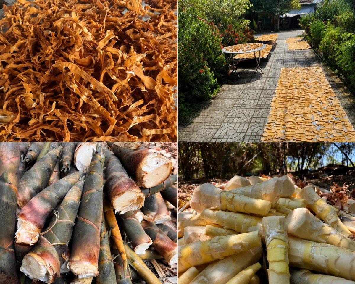 Làm giàu từ măng tre tứ quý hữu cơ giữa đại ngàn Đồng Kho