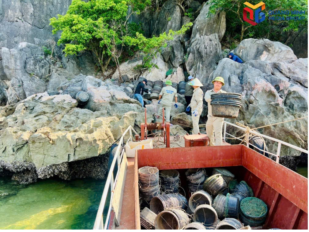 Quảng Ninh: Tiêu hủy 7.000 lồng bè, sau nuôi trồng thủy sản trái phép trên Vịnh Hạ Long
