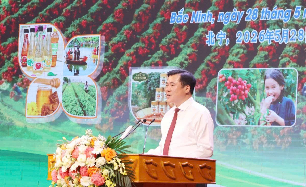 Bắc Ninh đẩy mạnh xúc tiến tiêu thụ vải thiều và nông sản chủ lực năm 2026