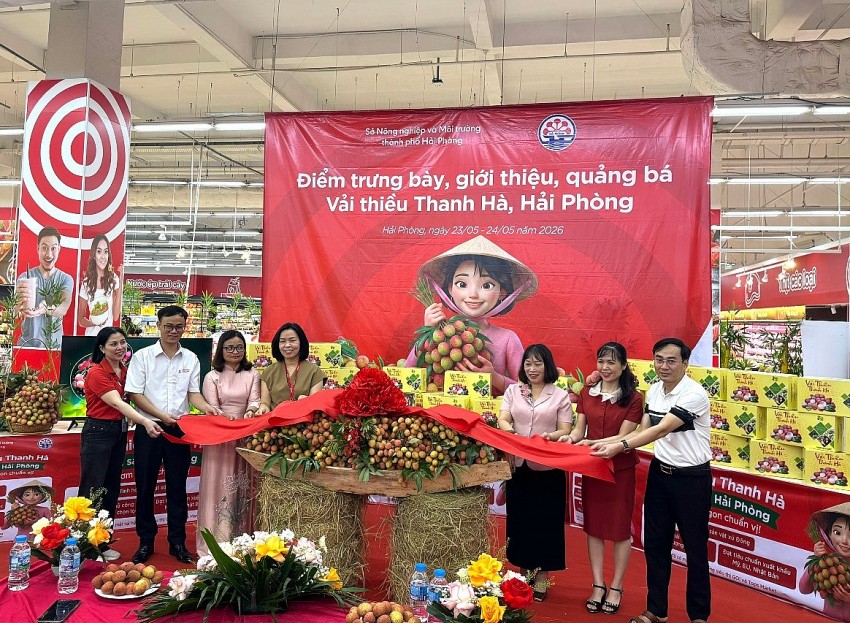 Hải Phòng mở rộng tiêu thụ nông sản đặc sản tại hệ thống siêu thị và trung tâm thương mại