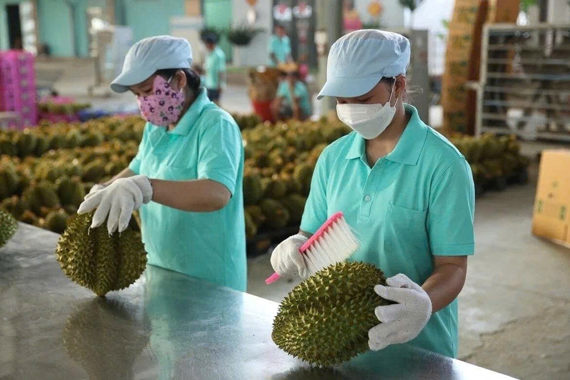 Đắk Lắk đẩy mạnh cơ giới hóa nông nghiệp giai đoạn 2026-2030