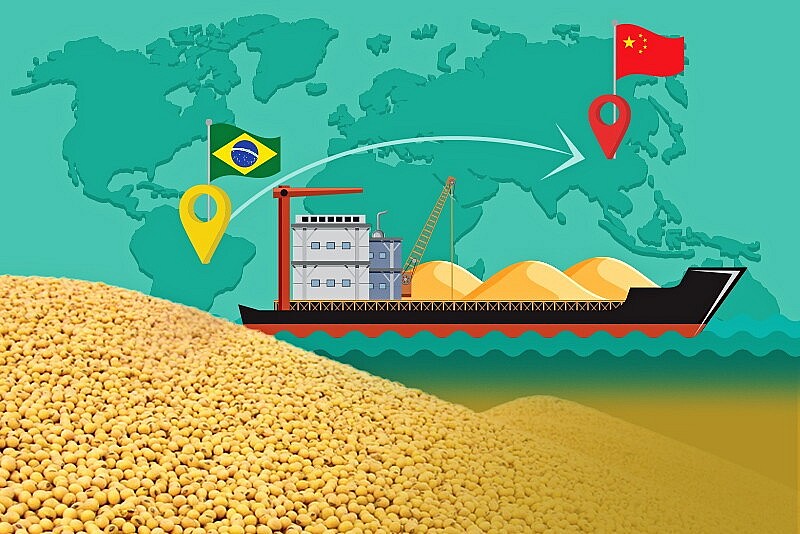 Nông dân Hoa Kỳ hoài nghi về tuyên bố đạt thỏa thuận nông nghiệp 17 tỷ USD với Trung Quốc