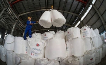 Lâm Đồng xuất khẩu gần 3 tỷ USD khoáng sản trong 5 năm