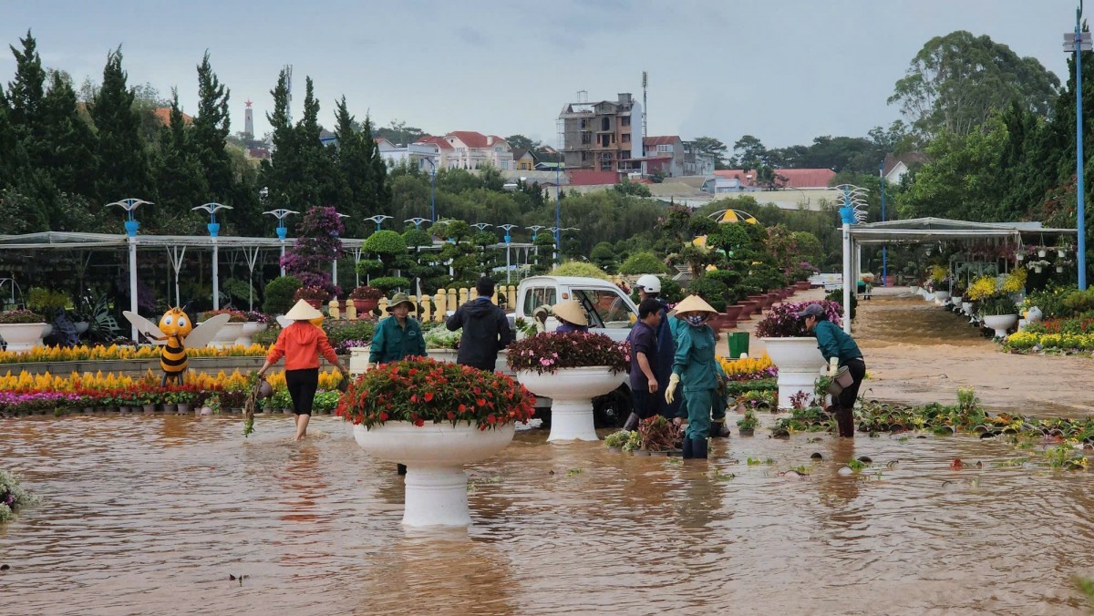 Cảnh báo mưa lớn diện rộng đe dọa nhiều địa phương, có nguy cơ lũ quét, sạt lở đất cao