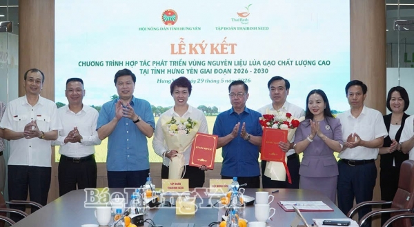 Hưng Yên: Thúc đẩy liên kết chuỗi giá trị nông nghiệp bền vững