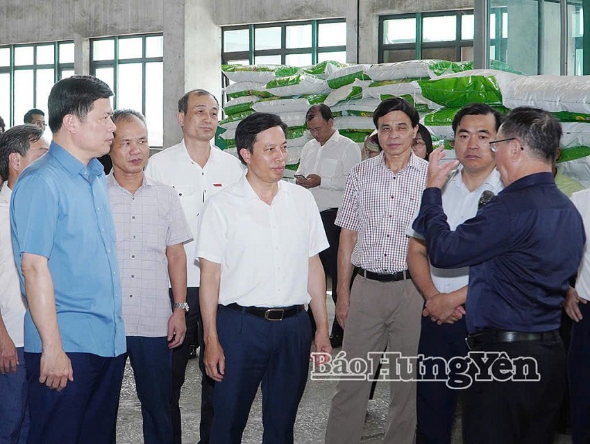 Hưng Yên: Thúc đẩy liên kết chuỗi giá trị nông nghiệp bền vững