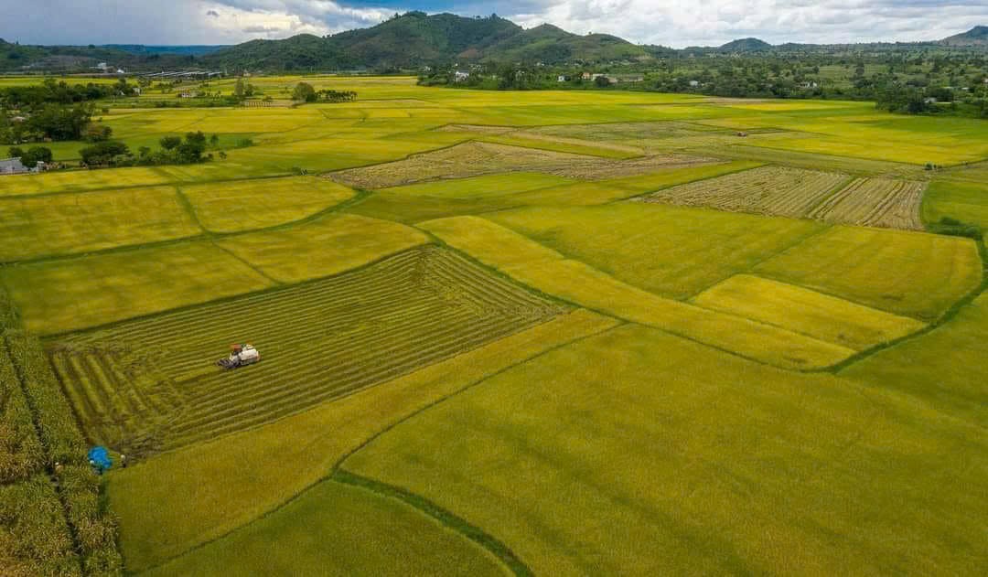 Lâm Đồng có cơ hội đưa điểm đến du lịch nông thôn ra sân chơi quốc gia