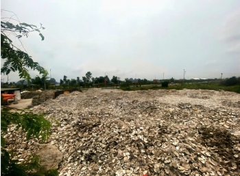 Đổ vỏ hàu ra môi trường chủ cơ sở chế biến ở Quảng Ninh bị khởi tố