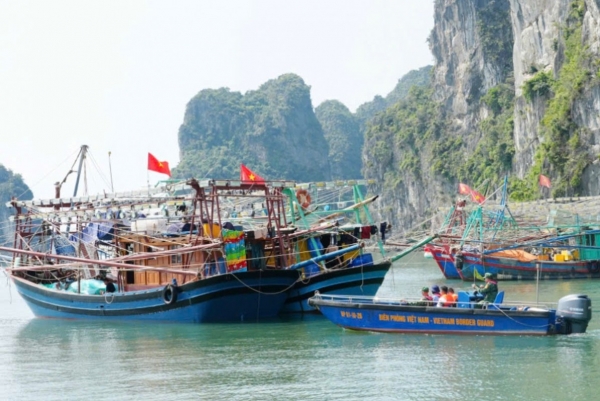 Kiểm tra, xử lý các tàu, thuyền nghề cá neo đậu sai quy định ven bờ Vịnh Hạ Long