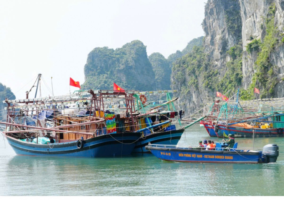 Kiểm tra, xử lý các trường hợp tàu, thuyền nghề cá neo đậu sai vị trí quy định tại khu vực ven bờ Vịnh Hạ Long. Ảnh:Baoquangninh