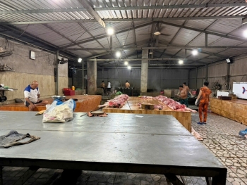 Đồng Tháp: Phát hiện 4 cơ sở giết mổ động vật trái phép, buộc ngưng hoạt động