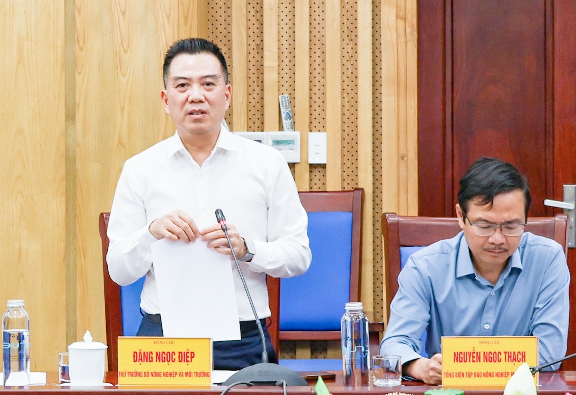 Nghệ An sẵn sàng cho chuỗi sự kiện Môi trường, Biển và Hải đảo quy mô cấp Quốc gia