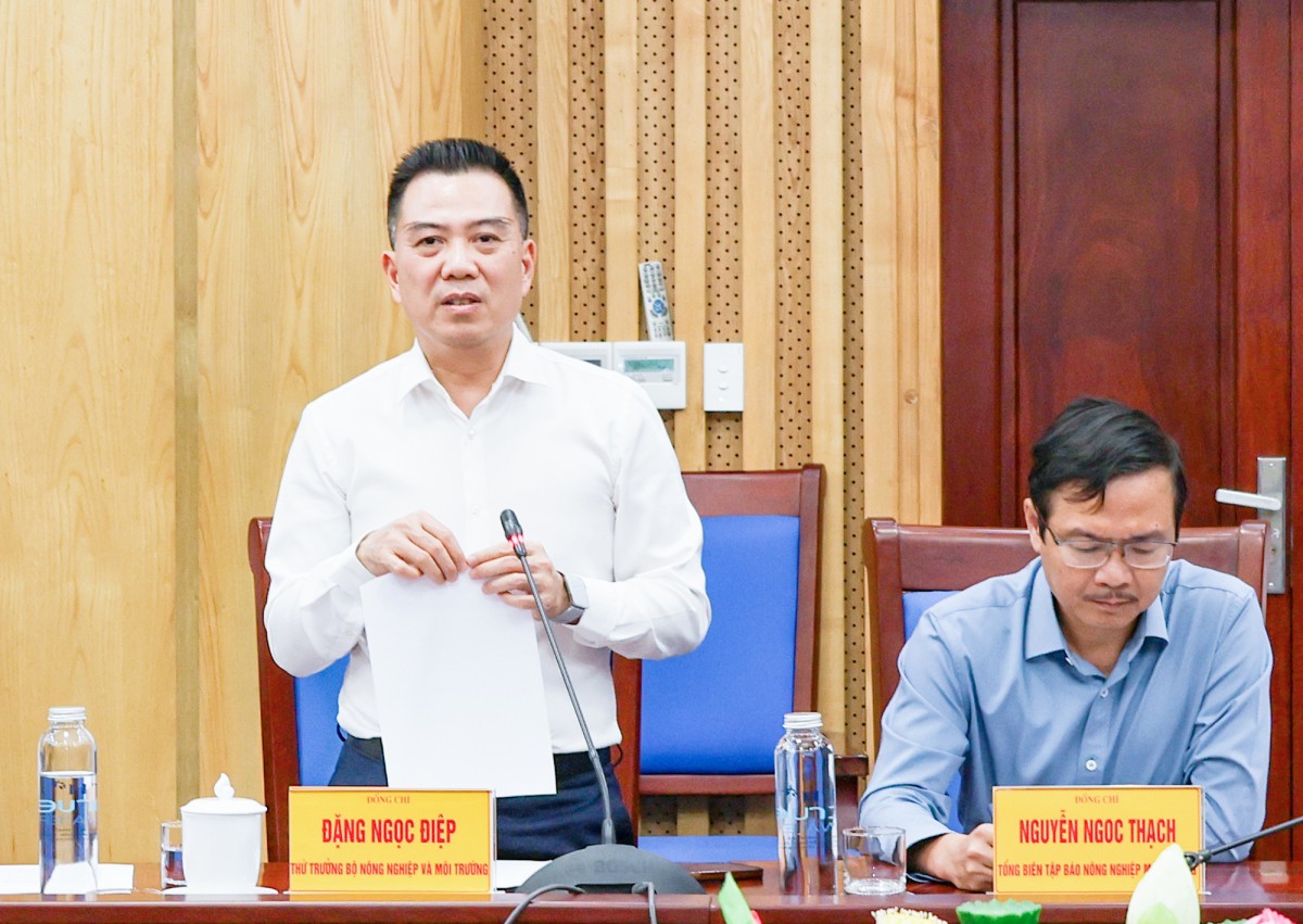 Nghệ An sẵn sàng cho chuỗi sự kiện Môi trường, Biển và Hải đảo quy mô cấp Quốc gia