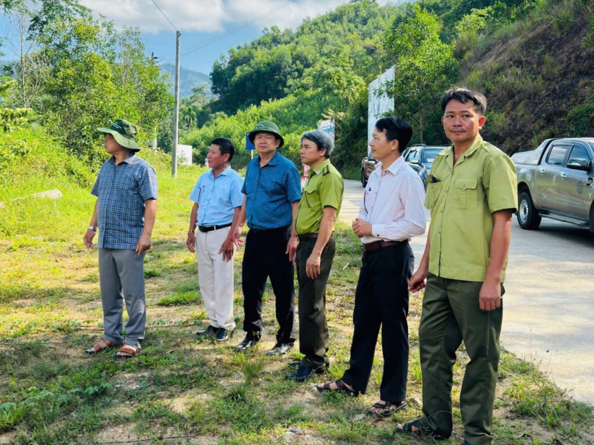 Gia Lai: Kiểm tra công tác quản lý, bảo vệ rừng tại An Lão