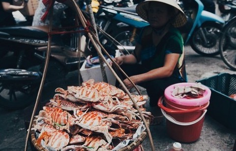 cho va san pham huu co cau noi giua nong nghiep xanh va nguoi tieu dung