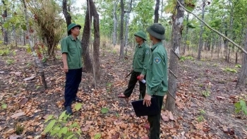 Hàng trăm vụ vi phạm lâm nghiệp ở Gia Lai: Áp lực "căng mình" bảo vệ rừng