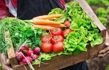 Chợ và sản phẩm hữu cơ - Cầu nối giữa nông nghiệp xanh và người tiêu dùng