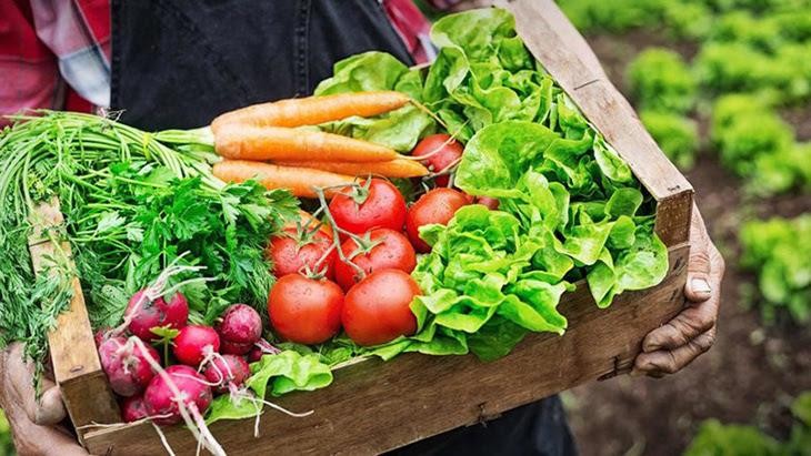 Chợ và sản phẩm hữu cơ - Cầu nối giữa nông nghiệp xanh và người tiêu dùng