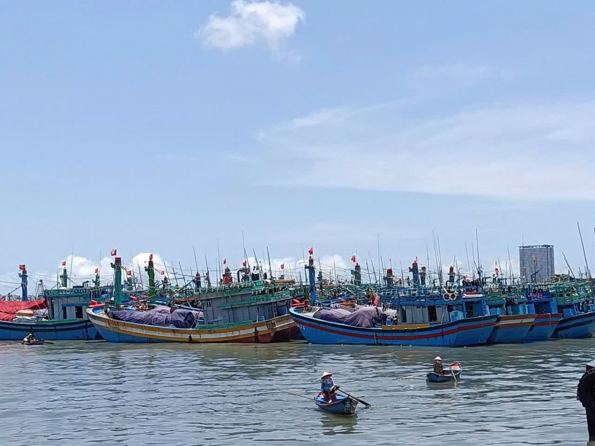 Siết chặt quản lý tàu cá sau giải bản, ngăn chặn tái khai thác thủy sản