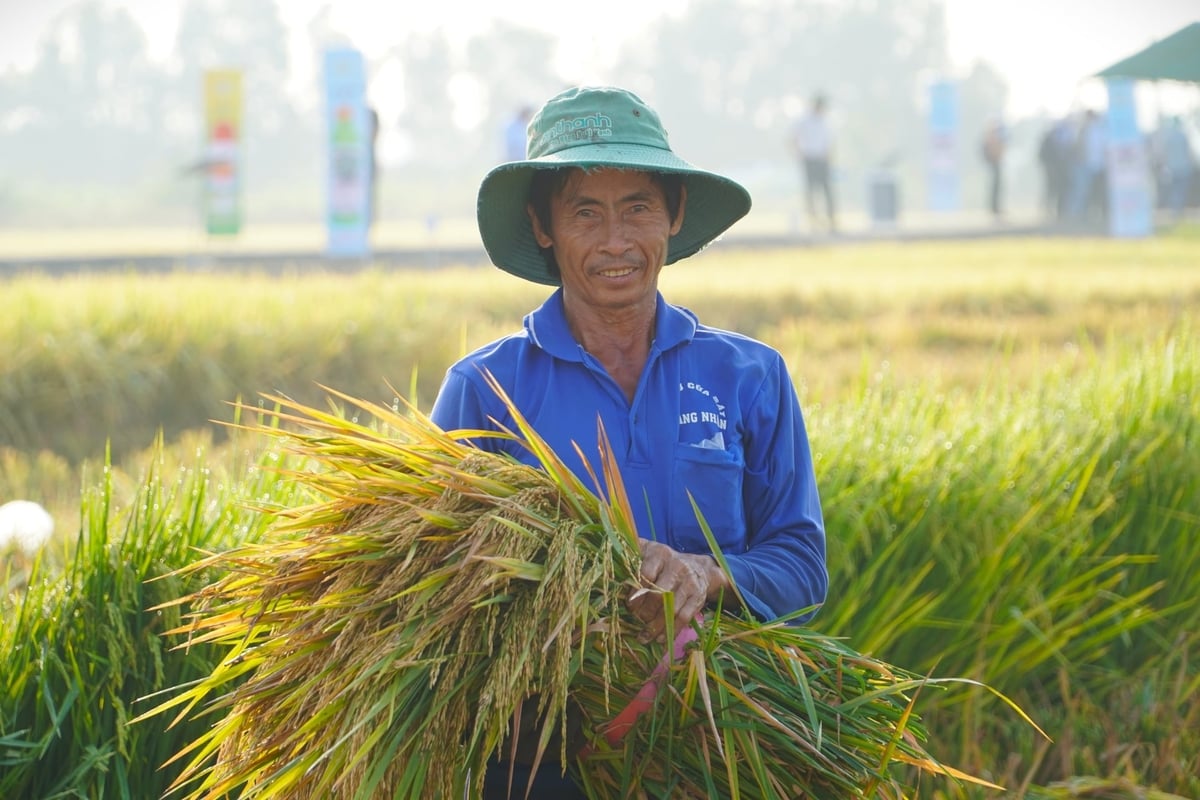 Hàng trăm nông dân được tiếp cận bảo hiểm nông nghiệp và tài chính xanh. Ảnh: Kim Anh.