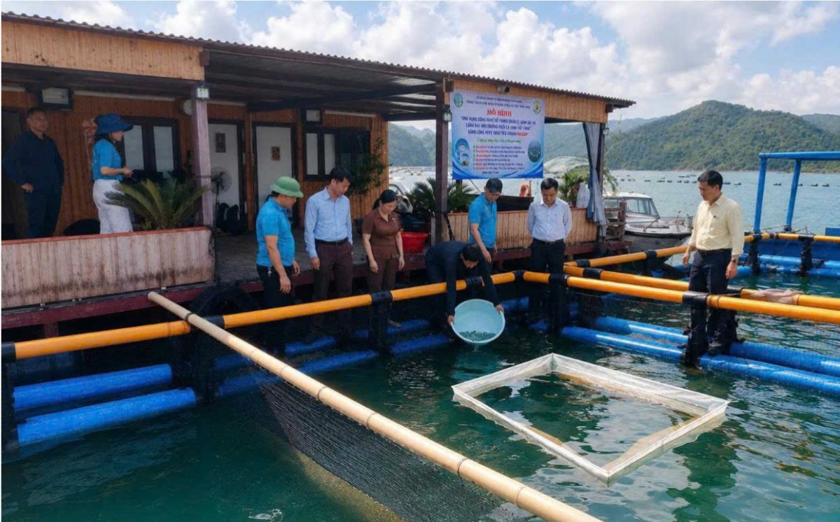 Quang cảnh buổi lễ thả giống.Ảnh (QMG)