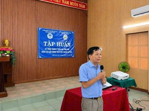 Tập huấn kỹ thuật quản lý dịch hại tổng hợp trên cây sầu riêng theo tiêu chuẩn VietGAP