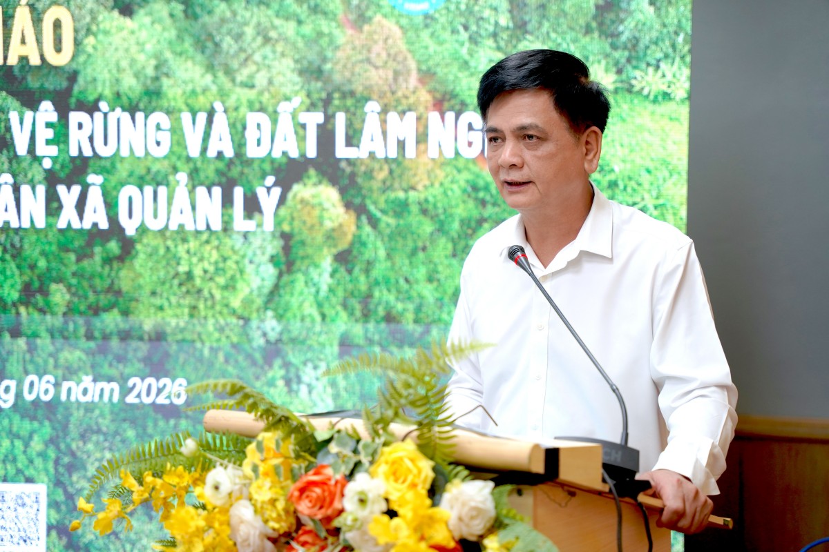 Ông Nguyễn Lâm Thành, nguyên Phó Chủ tịch Hội đồng Dân tộc của Quốc hội, đề xuất phân loại rõ từng nhóm diện tích đất rừng để có giải pháp quản lý, sử dụng phù hợp với điều kiện thực tế và nhu cầu phát triển của địa phương.