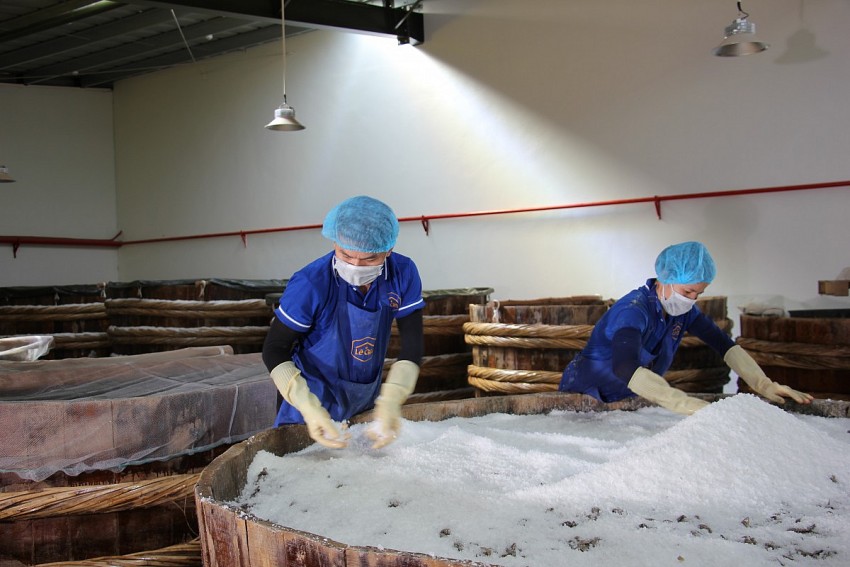 Công nhân tiến hành ủ chượp mắm truyền thống. 