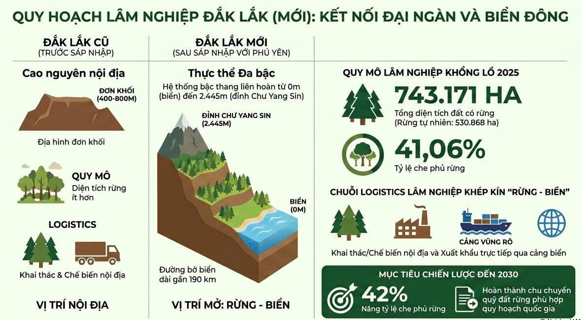 Đắk Lắk triển khai quy hoạch lâm nghiệp 2026–2030 phát huy giá trị đa mục tiêu của rừng
