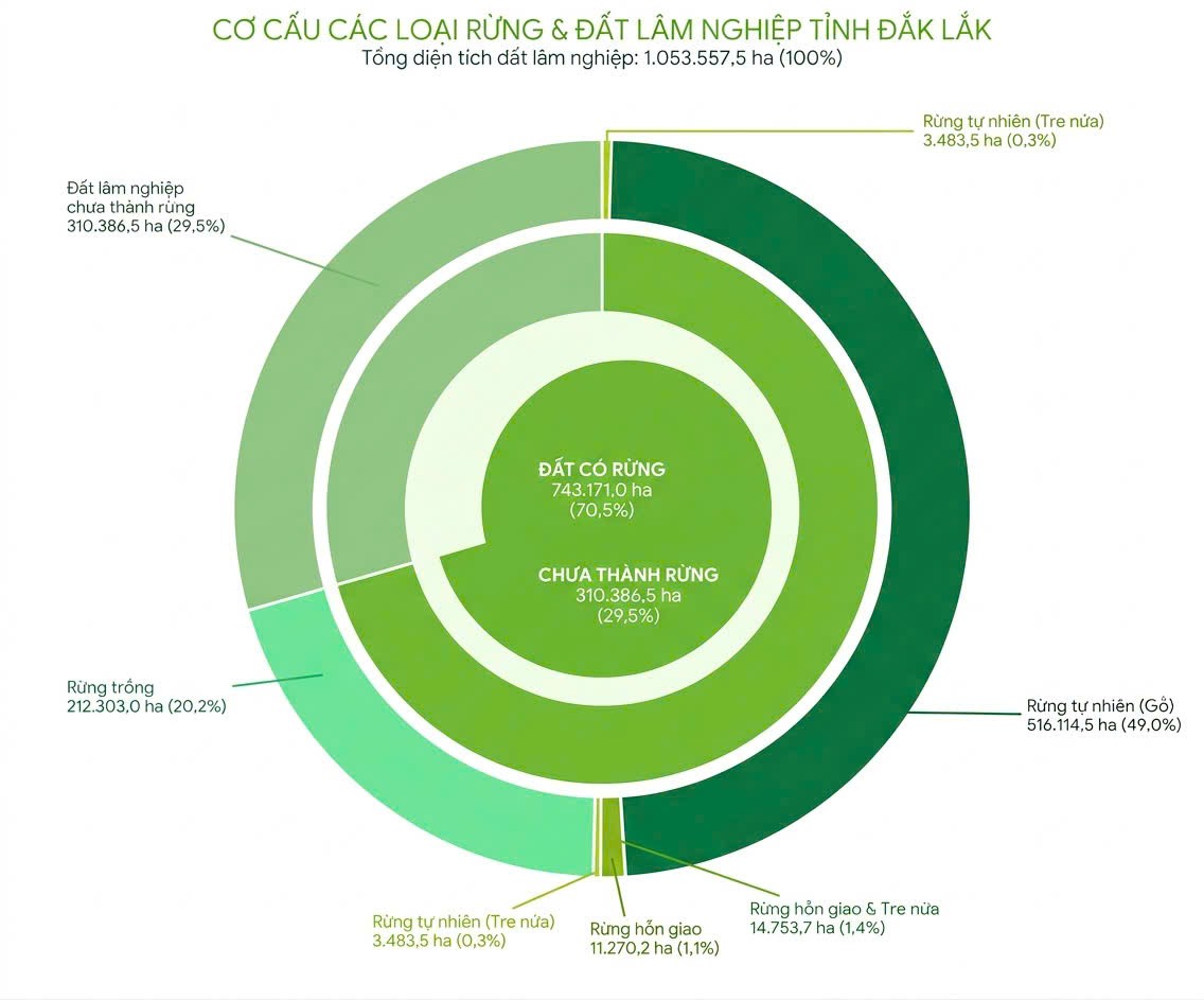 Đắk Lắk triển khai quy hoạch lâm nghiệp 2026–2030 phát huy giá trị đa mục tiêu của rừng
