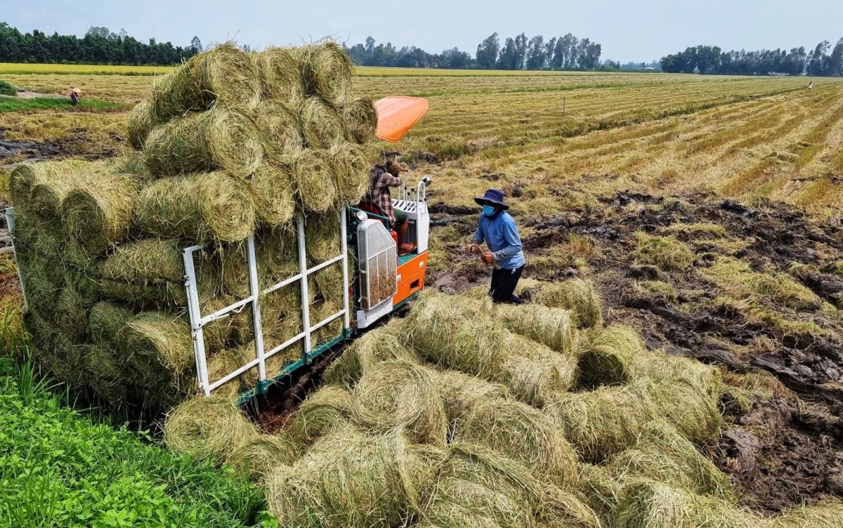 nông nghiệp hữu cơ