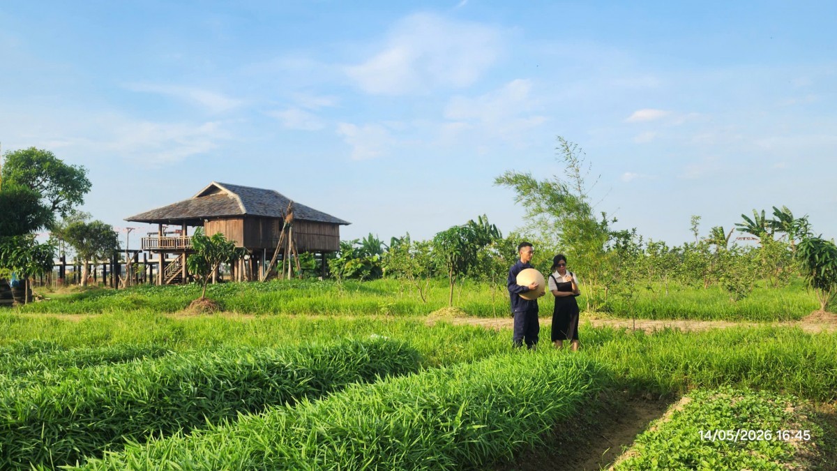 Nông nghiệp hữu cơ - Căn cốt kiến tạo môi trường sống bền vững