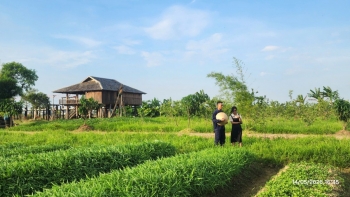 Nông nghiệp hữu cơ - Căn cốt kiến tạo môi trường sống bền vững