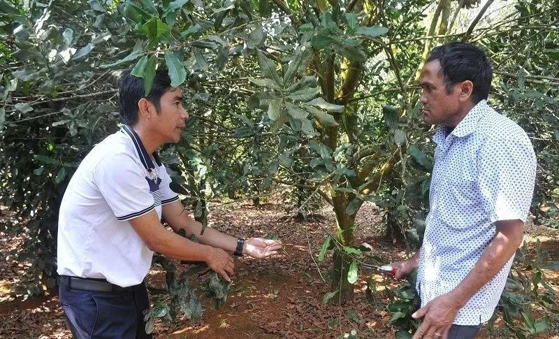Hiệu quả từ chính sách đất đai đối với đồng bào dân tộc thiểu số ở xã biên giới