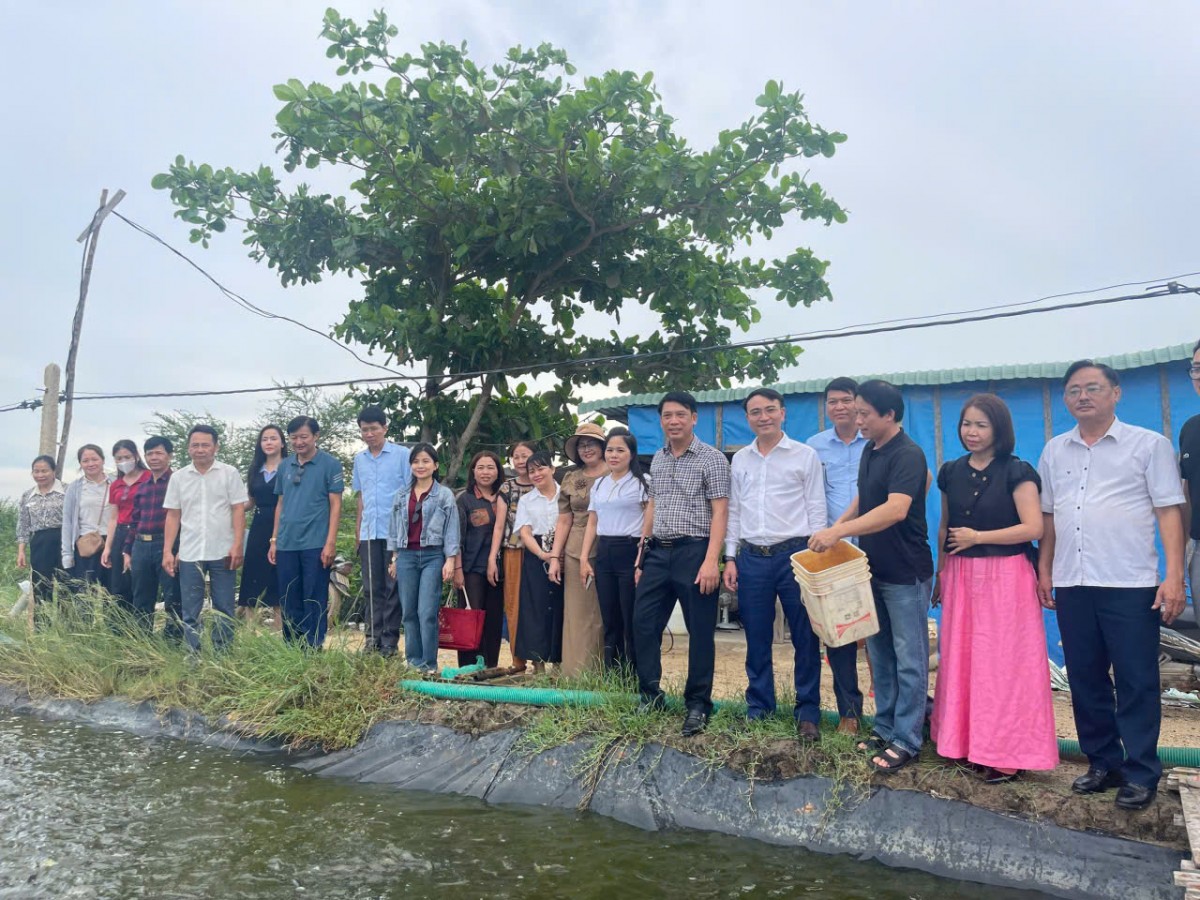 Khuyến nông Đắk Lắk chia sẻ kinh nghiệm ứng dụng công nghệ số trong sản xuất nông nghiệp