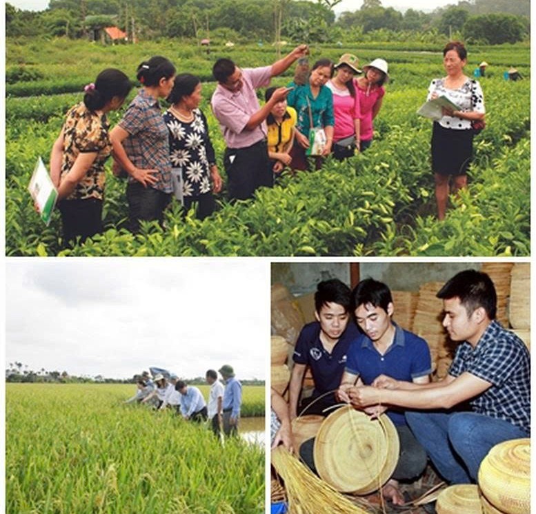 Xã Nâm Nung đổi mới công tác khuyến nông, hướng đến nền nông nghiệp xanh và hiện đại